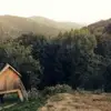 tyrell_boyd625 - @tyrell_boyd625 - TikTok