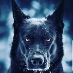 Tyrell Cook - @melvincook333 - Instagram
