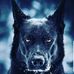 Tyrell Cook - Facebook