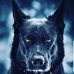 Tyrell Cook - @im_him01 - Instagram