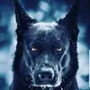 Tyrell Cook - @tyrell.cook88 - TikTok