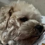 Brent Tyrell Cruz - Facebook