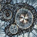 Tyrell Edwards - @tyrelleds - Instagram