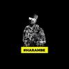 Brother Nature - @tyrelleharper - TikTok
