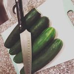 Tyrell Holmes - @tyrell_passionate_holmes - Instagram