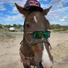 tyrelljames705 - @tyrelljames705 - TikTok