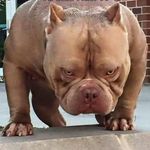 Tyrell Jordan - @tyrelljordan71 - Instagram