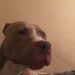 tyrell mason - @ghettoholywarrior - Instagram