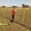 Tyron Bester - @tyronbester - TikTok