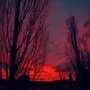 tyron - @_tyron_brown_66 - TikTok