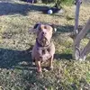 Tyrone Grant - @tyrone.grant7 - TikTok