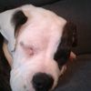 Tyron hall - @tyron.hall09 - TikTok