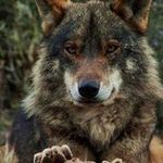 Tyrone Howard - @tyrone.howard.3551 - Instagram