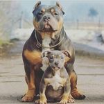 tyron - @tyronpretorius63 - Instagram