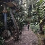 Roy Collins - @tyrone_roy9310 - Instagram