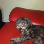 Tyrone Scott - @tyrone.scott.35380 - Instagram