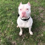 @tyron_white93 - Instagram