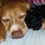 Tyron White - @whitewillow000 - Instagram