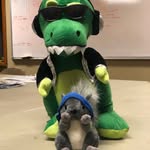 Tyrone Ali Gator And Squirrel - @tyrone_the_venture_scout - Instagram