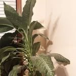 Tyrone Burton - @burtontyrone401 - Instagram