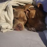 Larry Corbin - @corbintyrone63 - Instagram