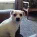 Tyrone Corbitt - Facebook