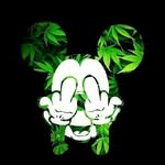 New Account - @tyronedashit93 - Instagram