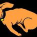 Tyrone Doggie Dash 5k Run/Walk - Facebook