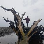 Tyrone Davidson - @tdotdavidson - Instagram