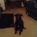 Ty Godfrey - Facebook