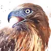 Tyrone Guzman - @ze_hawk - TikTok