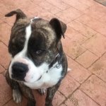 Tyrone Harrison - @tyharrison9 - Instagram