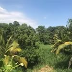 Tyrone Hunt - @llllovedoc44 - Instagram
