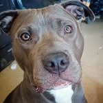 Tyrone hunt - @tysky_212 - Instagram