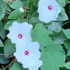 tyrone hurst - @user738854673 - TikTok