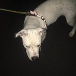 Tyrone Hutton - @tyrone_hutton - Instagram
