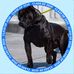 Tyrone Hutton - Facebook