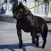tyronehutton777 - @tyronehutton777 - TikTok