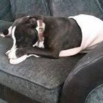 tyronehutton - @huttontyrone68 - Instagram