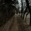 tyrone.joyea - @tyrone.joyea3 - TikTok
