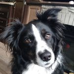 Ty - @landrytyrone085 - Instagram