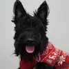 tyronelawhornii - @tyronelawhornii - TikTok