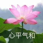 Lcd - @tyrone_leong - Instagram