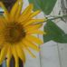 Tyrone Lightfoot - Facebook