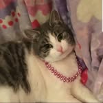 22tyroneLilly23 - @22tyronelilly23 - Instagram