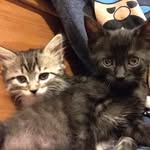 Tyrone & Lilly Lujan - @lillyandtyrone_ - Instagram