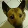 tyrone lin - @tyrone.lin - TikTok