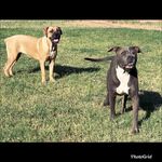 Tyrone little - @tyr.onelittle - Instagram