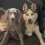 Luna y Tyrone - @lunaytyroneporsiempre - Instagram