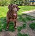 Tyron C Manley - Facebook